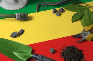Kongo Cumhuriyeti bayrağı, arka planda bahçe aletleri var. Bedava fotokopi alanı ile bahçe konseptine bahar.