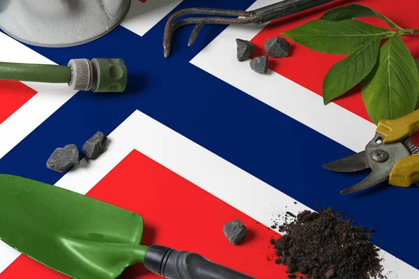 Bandera Bouvet Islands Con Herramientas Jardinería Fondo Mesa Primavera Concepto — Foto de Stock