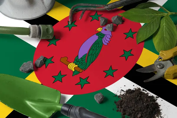 Bandera Dominica Con Herramientas Jardinería Fondo Mesa Primavera Concepto Jardín — Foto de Stock