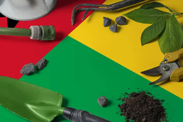 Bandera Guinea Con Herramientas Jardinería Fondo Mesa Primavera Concepto Jardín — Foto de Stock