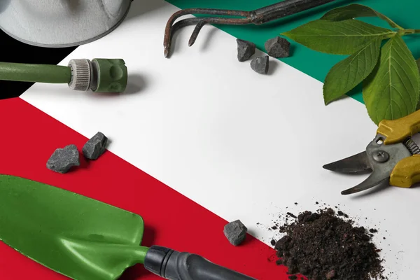 Bandeira Kuwait Com Ferramentas Jardinagem Fundo Mesa Primavera Conceito Jardim — Fotografia de Stock