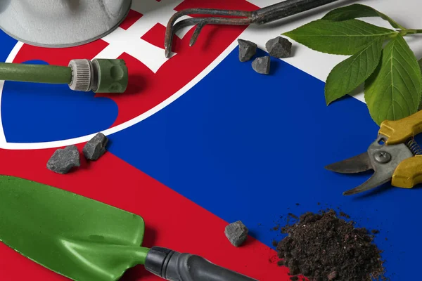 Bandera Eslovaquia Con Herramientas Jardinería Fondo Mesa Primavera Concepto Jardín — Foto de Stock