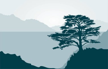 Lübnan sedir ağacı, deniz ve dağlarıyla manzara