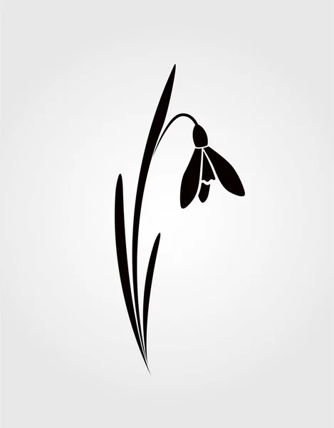 Hóvirág, galanthus virág fekete sziluett. tavaszi virág tervezési elem — Stock Vector