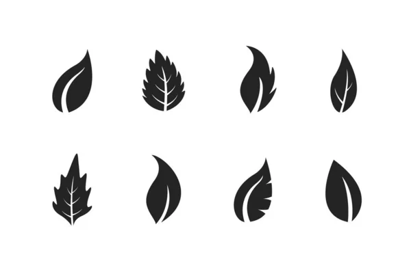 Conjunto de ícone de folha. elemento de design da natureza. coleção de sinal ecológico —  Vetores de Stock