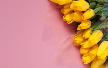 Çiçekli arka plan. Pembe arka planda sarı laleler. Uluslararası Kadınlar Günü için hediyeler, doğum günü, anneler günü. Çiçekli ve metin için yeri olan tebrik kartı