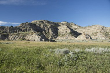 Theodore Roosevelt Ulusal Parkı