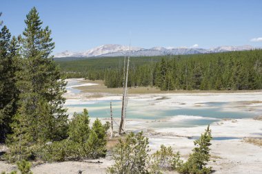 Norris Şofben Havzası - porselen Havzası