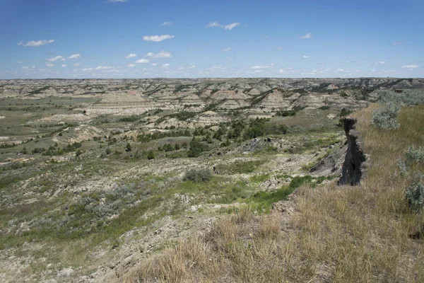 Theodore Roosevelt Ulusal Parkı