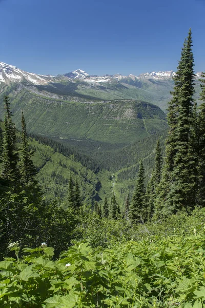 Highline Trail no Parque Nacional Glacier — Fotografia de Stock