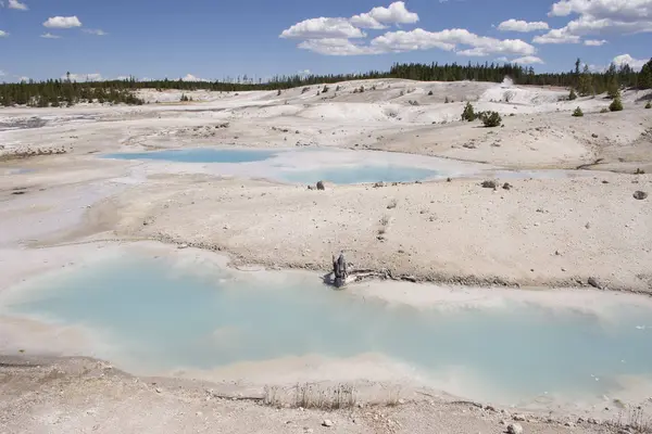 Norris Gayzer Havzası