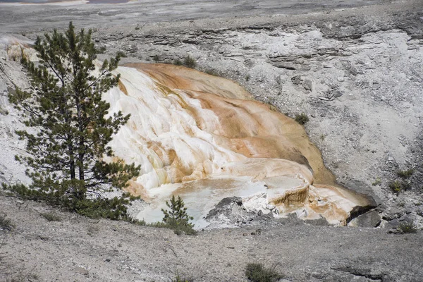 Mammoth hot springs — Stockfoto