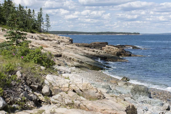 Schoodic Point Küste — Stockfoto