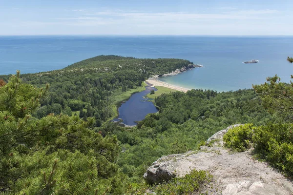 Arı kovanı Trail Üstten Görünüm