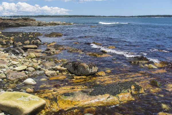 Kleurrijke kustlijn scene - Acadia — Stockfoto
