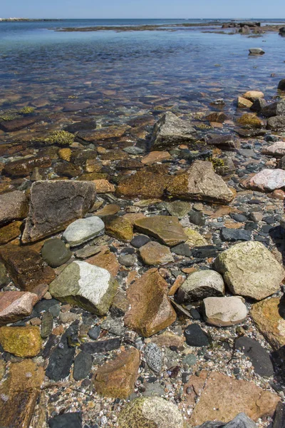 Acadia Shoreline - País das maravilhas — Fotografia de Stock