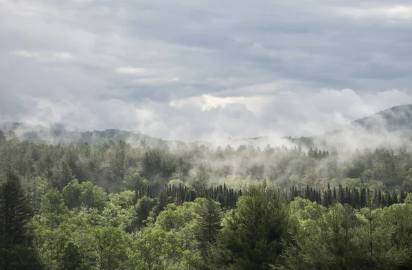 Fog on Green Mountains, Vermont — Stock Photo, Image