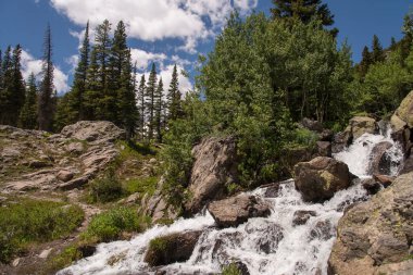 Emerald Lake Trail 'de küçük bir şelale, Rocky Dağları Ulusal Parkı, Colorado, ABD
