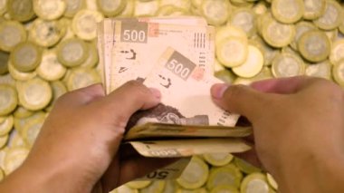 Bir sürü banknotu hızla sayan eller.