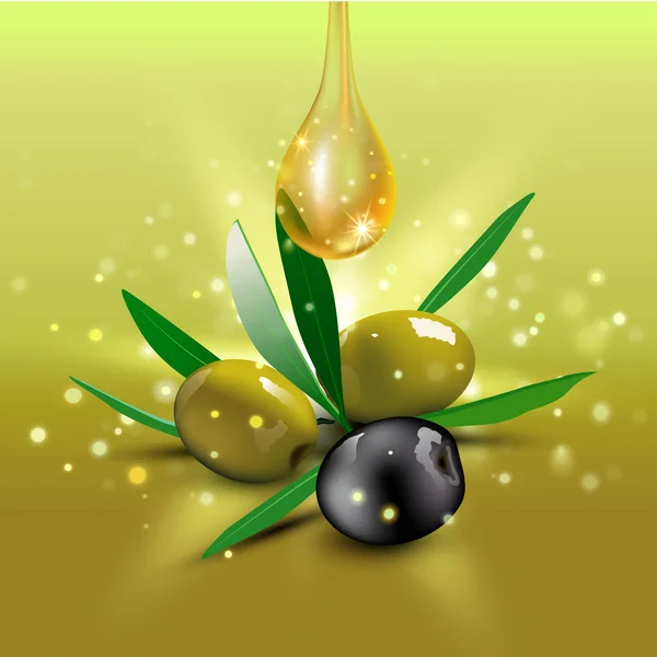 Zielone i czarne oliwki z liści. Ilustracja wektorowa — Wektor stockowy