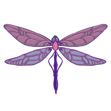 Beyaz arka plan üzerinde mor yusufçuk. Vektör çizim tasarımınız için.