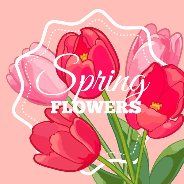 Cartão de saudação com flores de tulipa florescendo. Ilustração vetorial — Vetor de Stock