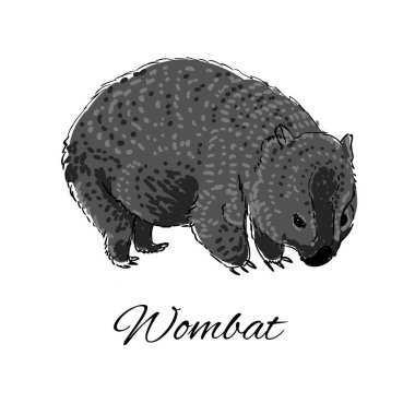 Doodle tarzı Wombat simgesi. Logo iş için. Vektör çizim.