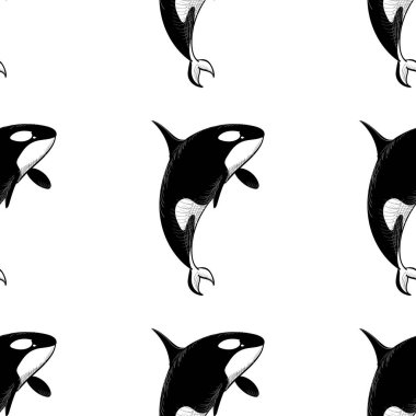 Grampus seamless modeli. Vektör çizim