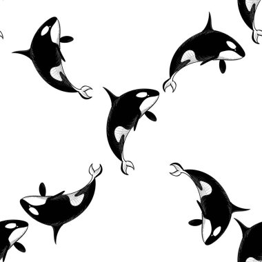 Grampus seamless modeli. Vektör çizim