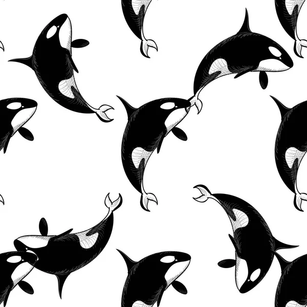 Grampus seamless modeli. Vektör çizim