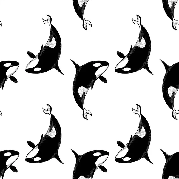 Grampus seamless modeli. Vektör çizim