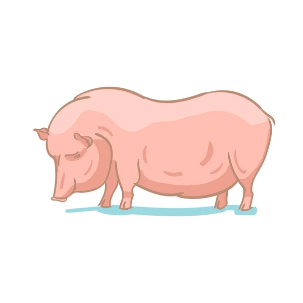 Desenho colorido realista ilustração vetorial de porco de fazenda — Vetor de Stock