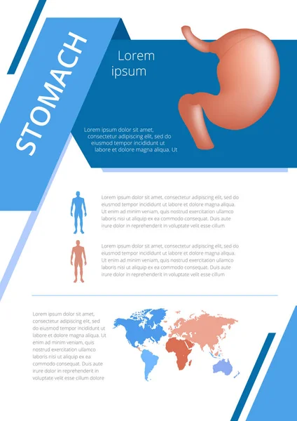 Infografía interna de órganos humanos estómago — Vector de stock
