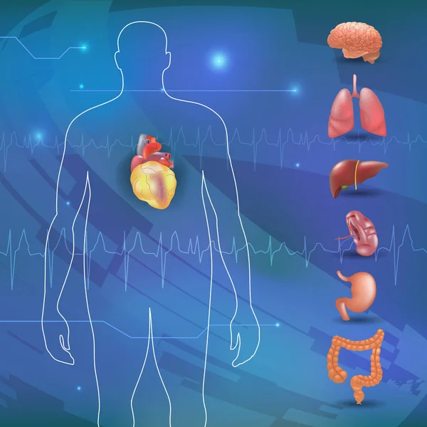 insan organları hastalıkları obezite ile ilgili bilgi grafiklerle