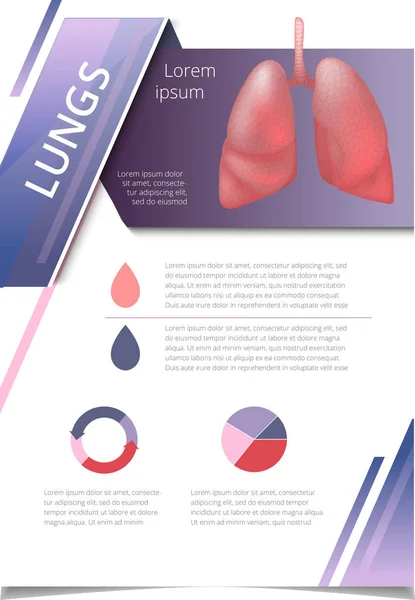 Infografía pulmonar de órganos humanos internos — Vector de stock