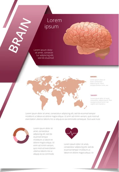 Infografía de órganos humanos internos cerebro — Vector de stock