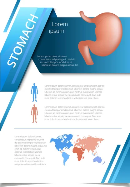 Órgãos humanos internos estômago infográfico — Vetor de Stock