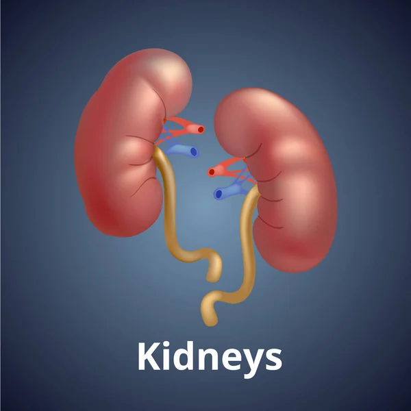 Rins humanos realistas isolados em fundo cinza escuro . —  Vetores de Stock