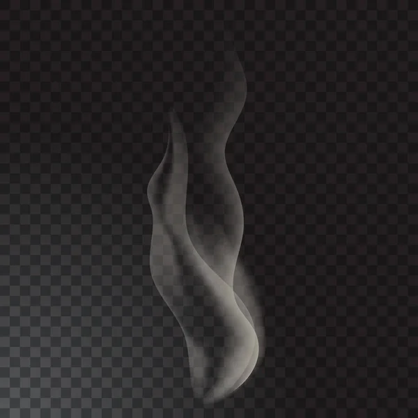 Ondes de fumée de cigarette délicates sur fond transparent — Image vectorielle