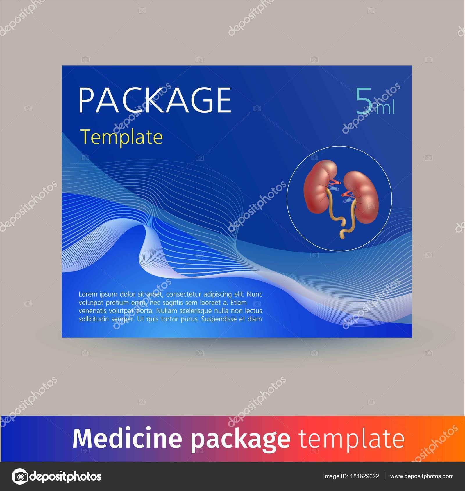 Disegno del modello di pacchetto di medicina con cuore realistico organo umano Illustrazione di vettore — Vettoriali di mariaaverburg