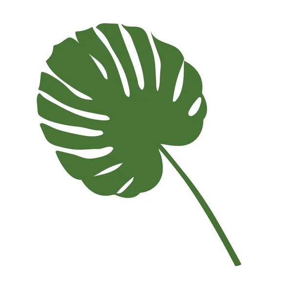 Palmiye yaprağı vektör arka plan illüstrasyon. Eps10 — Stok Vektör