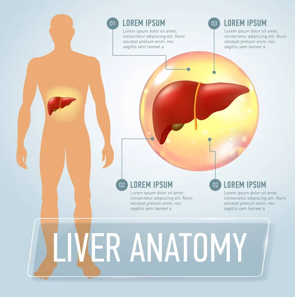 Infográficos hepáticos vetoriais ilustração banner —  Vetores de Stock