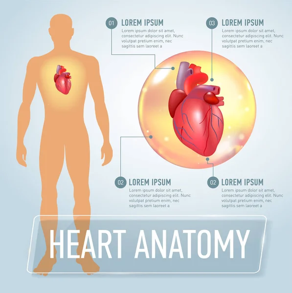 Illustrazione di banner infografico cardiaco vettoriale — Vettoriale Stock