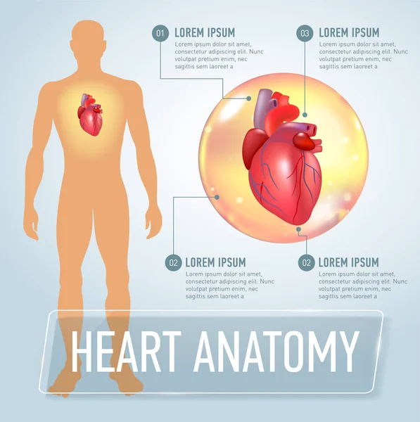 वेक्टर हृदय इन्फोग्राफिक्स बॅनर स्पष्टीकरण — स्टॉक व्हेक्टर