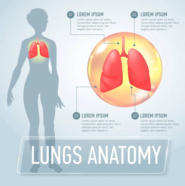 Pulmão. Infográficos médicos modernos. Órgãos internos em um corpo humano feminino. Anatomia das pessoas —  Vetores de Stock