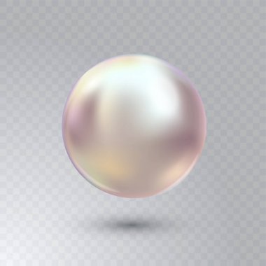 Şeffaf arka planda izole edilmiş ışık efektleri olan parlak, beyaz deniz istiridye incisinin vektör çizimi. Lüks aksesuarlar için güzel 3D parlak gerçekçi inci..