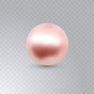 Şeffaf arka planda izole edilmiş tek bir parlak, pembe deniz istiridyesi incisinin vektör çizimi. Lüks aksesuarlar için güzel 3D parlak gerçekçi inci..