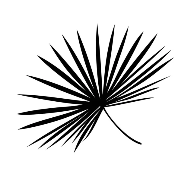La sagoma nera di palma di congedo tropicale, albero. Illustrazione vettoriale — Vettoriale Stock