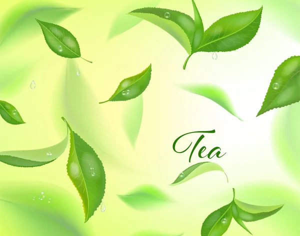 Vektor nagy részletességű háttér zöld tea levelek mozgásban. Homályos tealevelek. Reklám-, csomagolási vagy teatermékek reális koncepciós bannerje. — Stock Vector