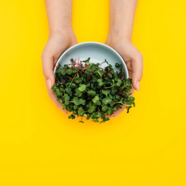 Mikroyeşil düz düz sarı fırınlı eller